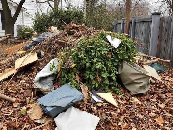 Yard Waste & Debris Removal by Apex Junk Removal
